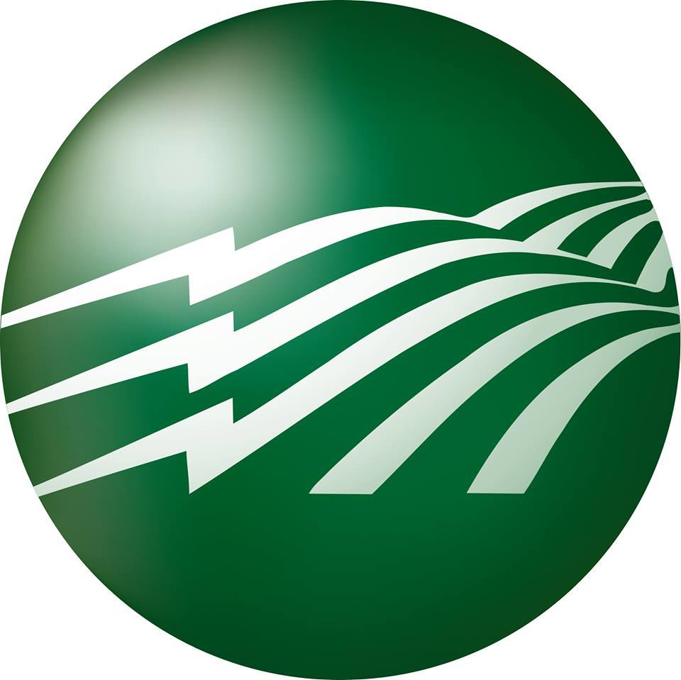 First Electric logo